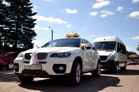 BMW X6, Мерседес Спринтер, персиковые украшения